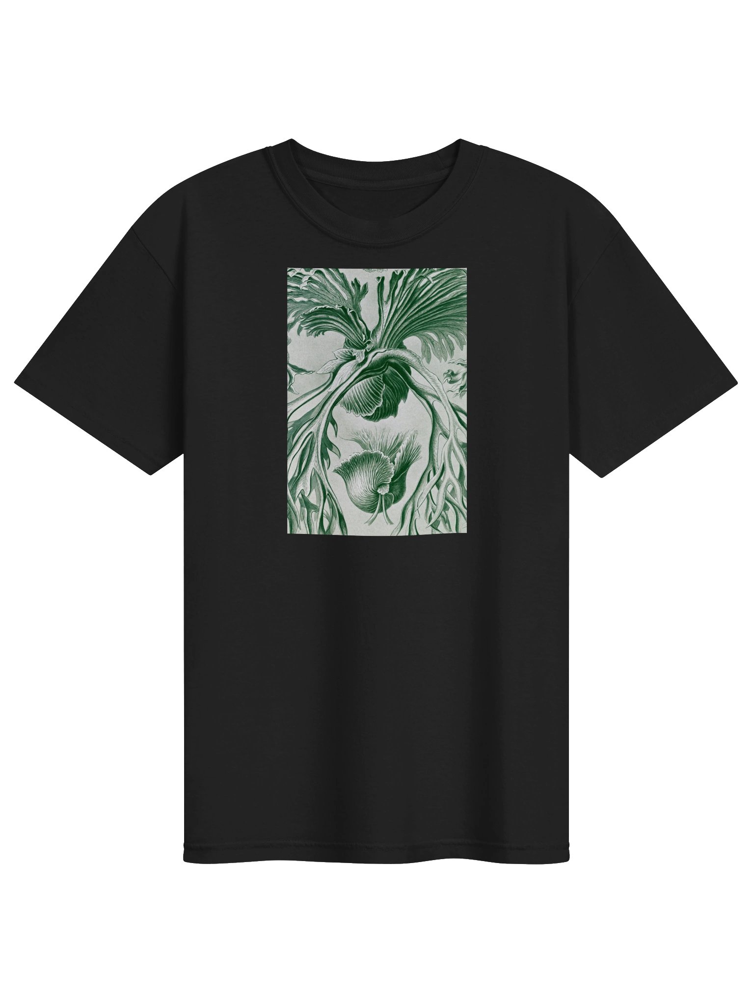 Staghorn Ferns Vintage Botanical Heavyweight T-Shirt product image (1)