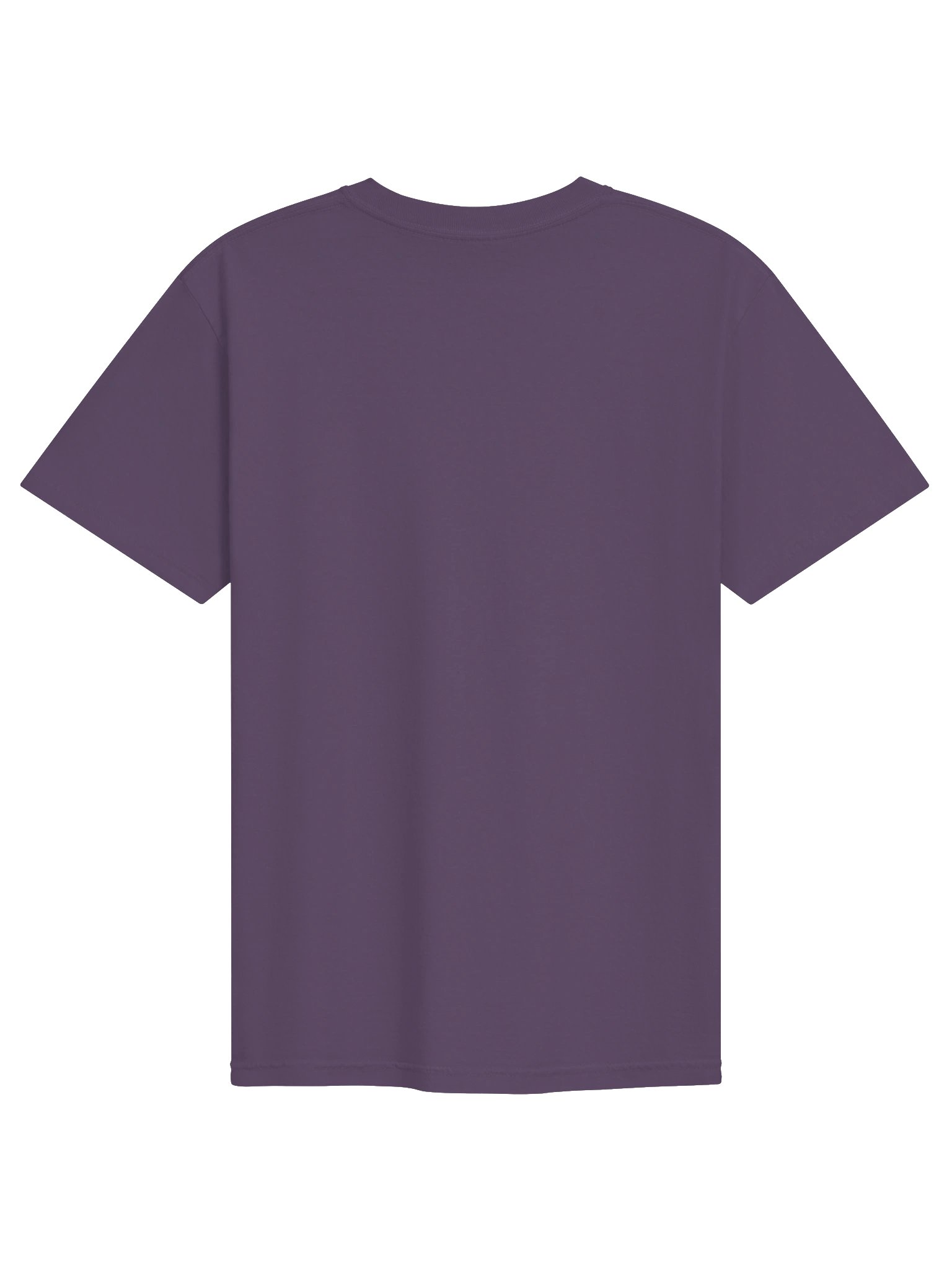 Embroidered Logo T product image (2)