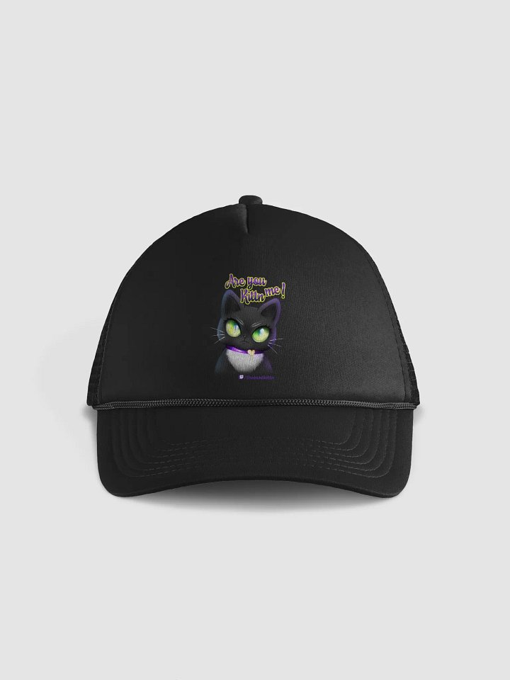 Are you Kittn Me! product image (1)