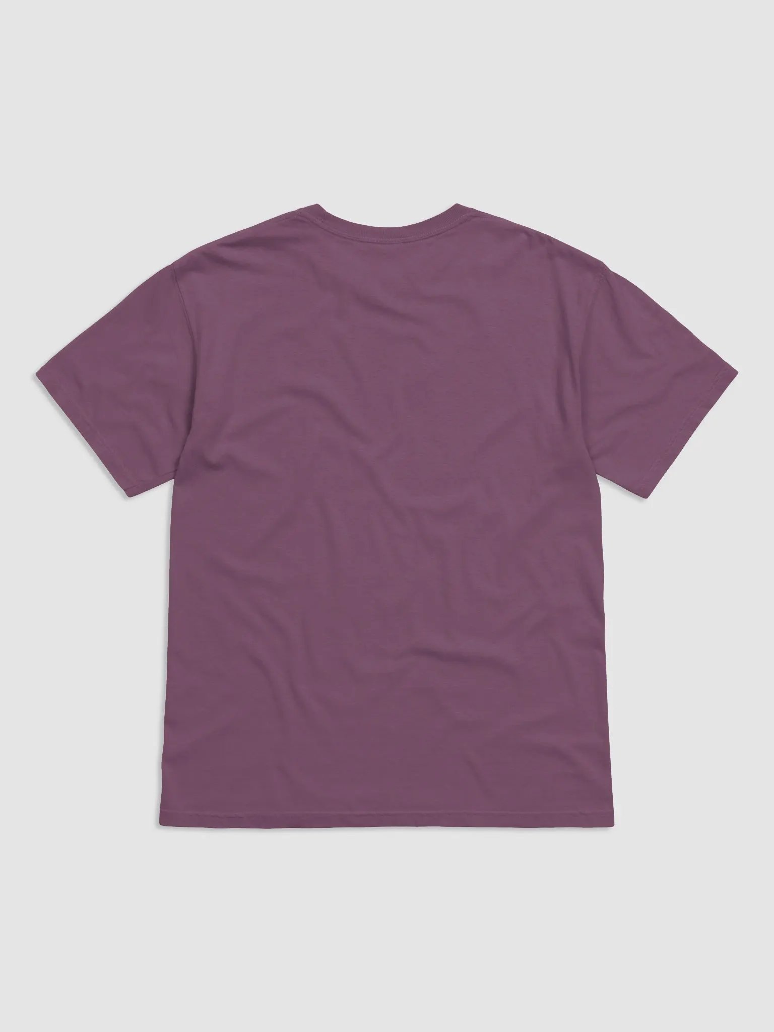 Spectrum Power I've Got A Rainbow of Skills Heavyweight Unisex T-Shirt product image (3)