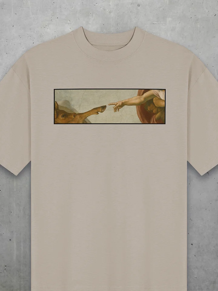 The Creation Of Animals Oversized Tee product image (1)