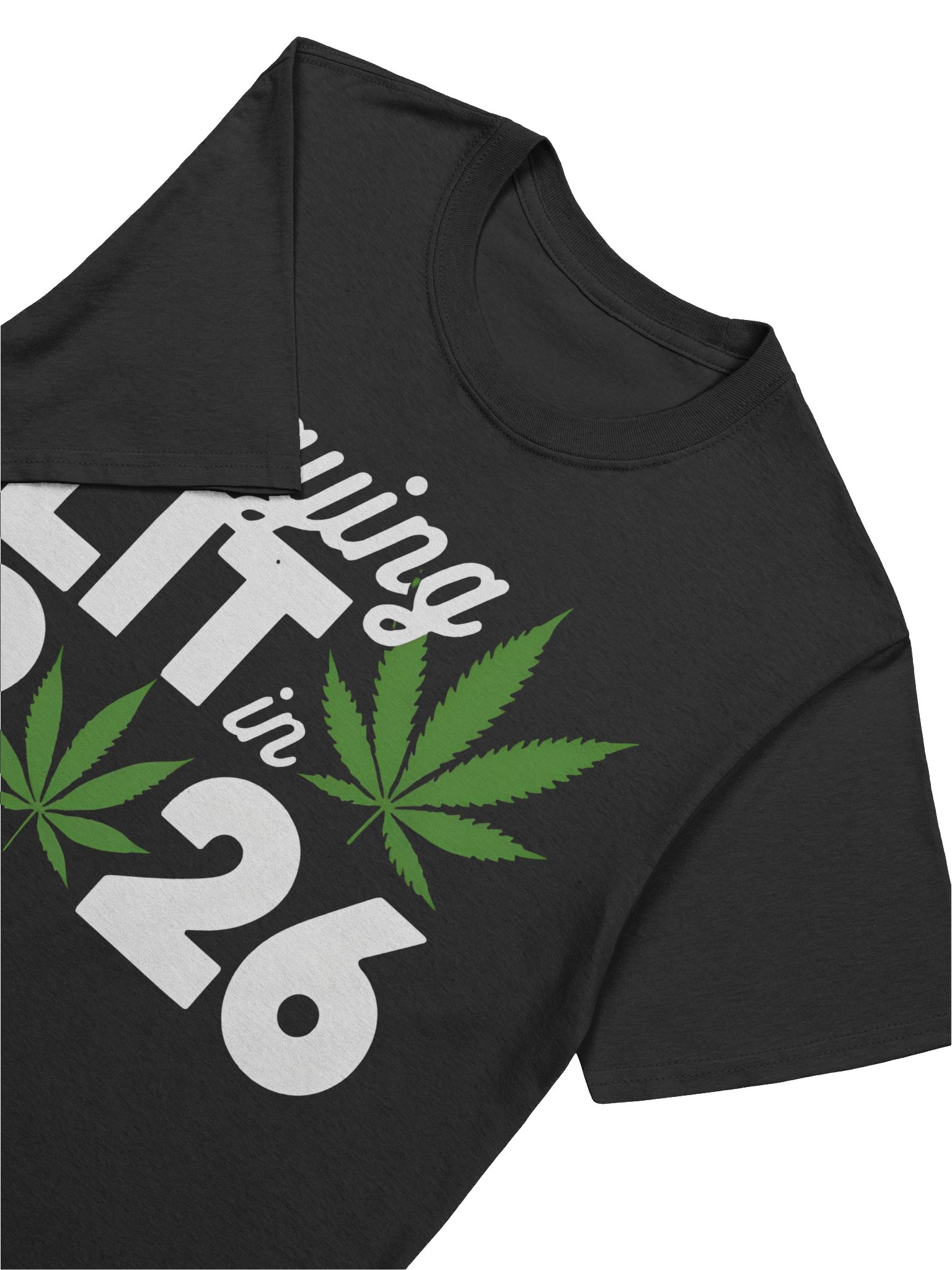 Staying Lit In 2026 Shirt product image (5)