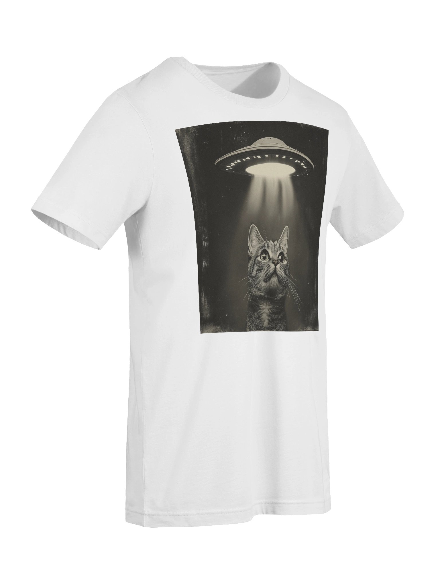 Cat Encounters T-Shirt product image (9)