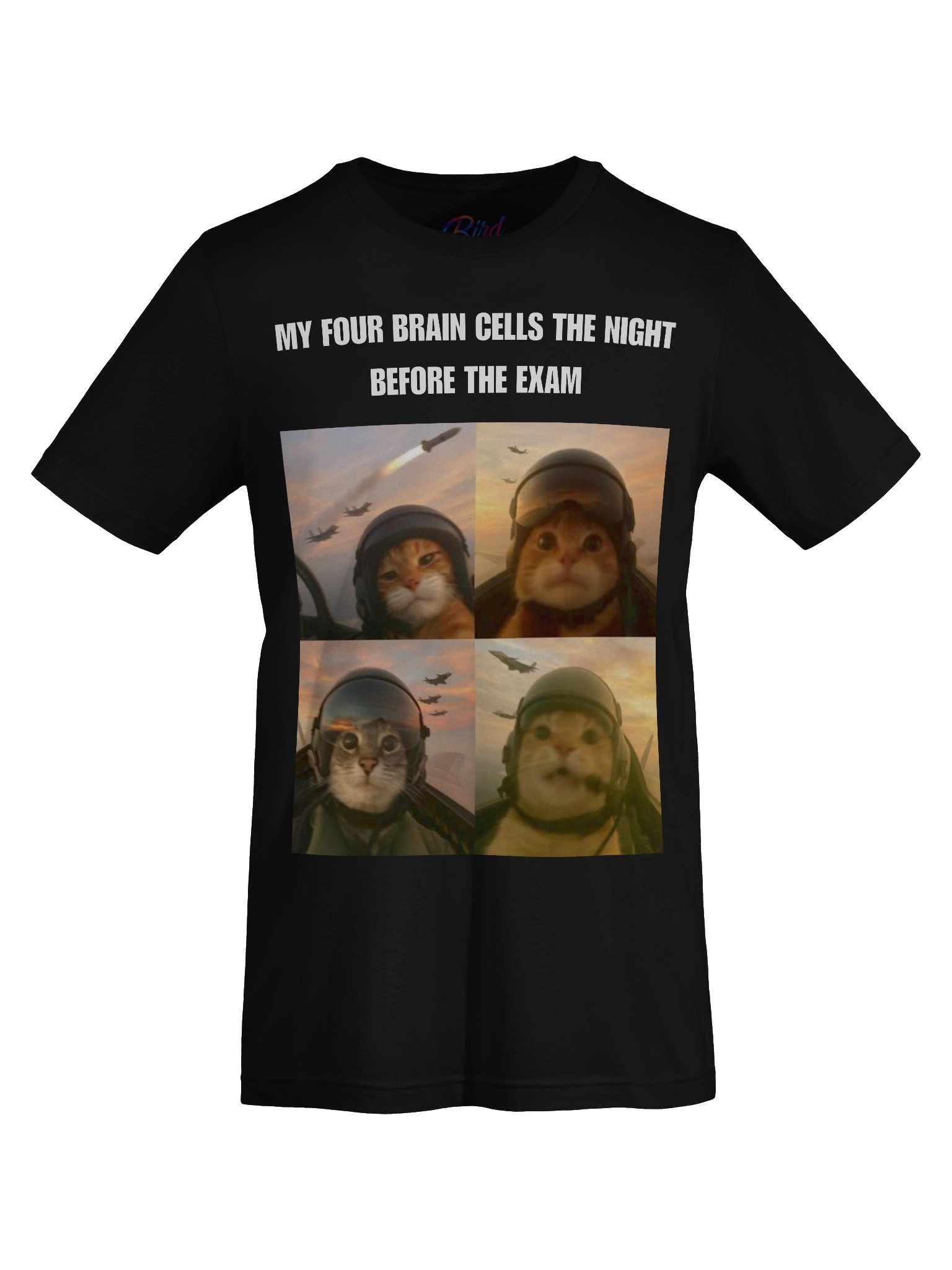 POV: My Four Brain Cells the Night Before the Exam T-Shirt product image (7)
