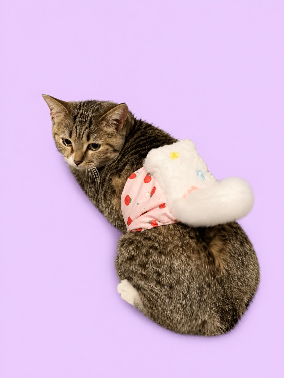 Cat Butt Patting Device product image (2)