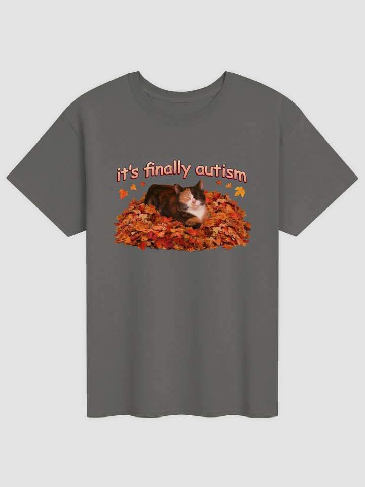 It's Finally Autism Autumn Cat T-shirt product image (62)