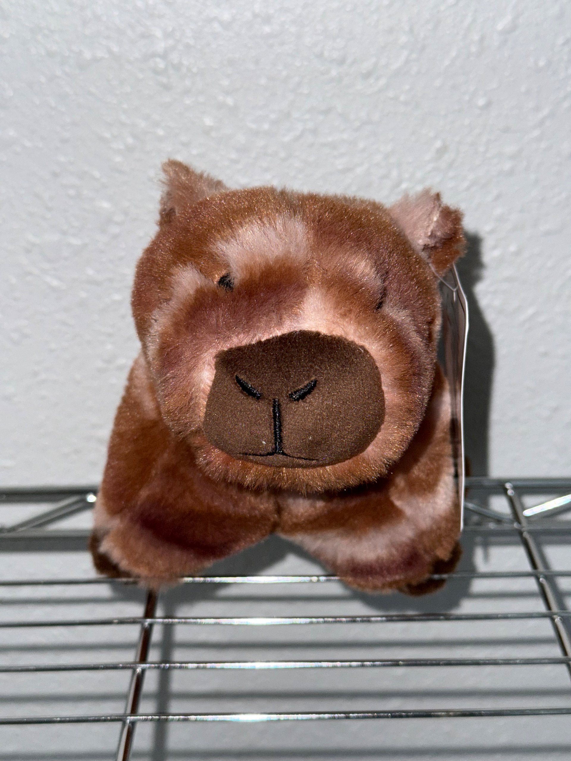 Capybara Plush product image (1)