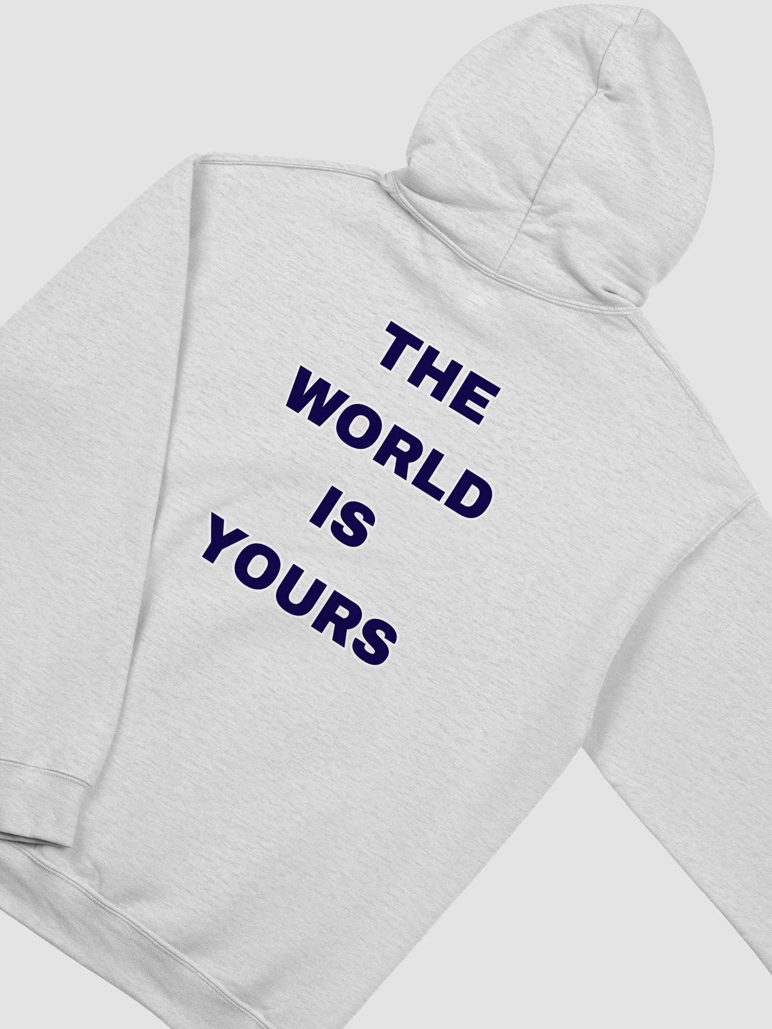 Bold Vision Classic Hoodie product image (37)
