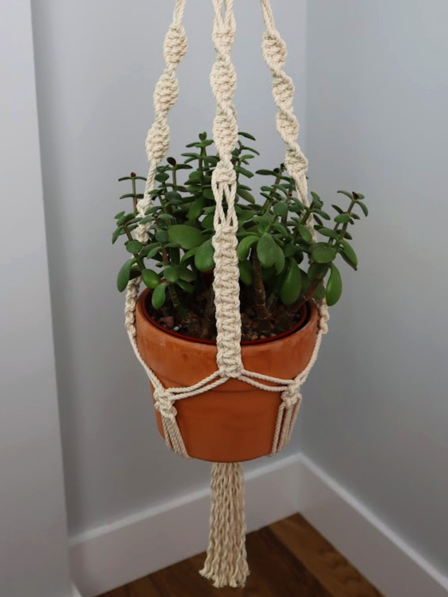 Classic Macrame Plant Hanger (Digital PDF Pattern) product image (3)