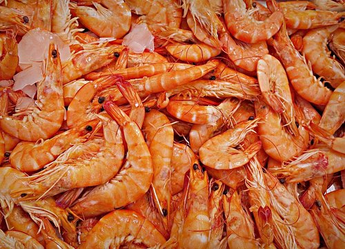Recette de TACACÁ du PARÁ Brésil

Il y a des plats qui racontent une région entière. Le tacacá, c’est l’âme du Pará, au cœur ...
