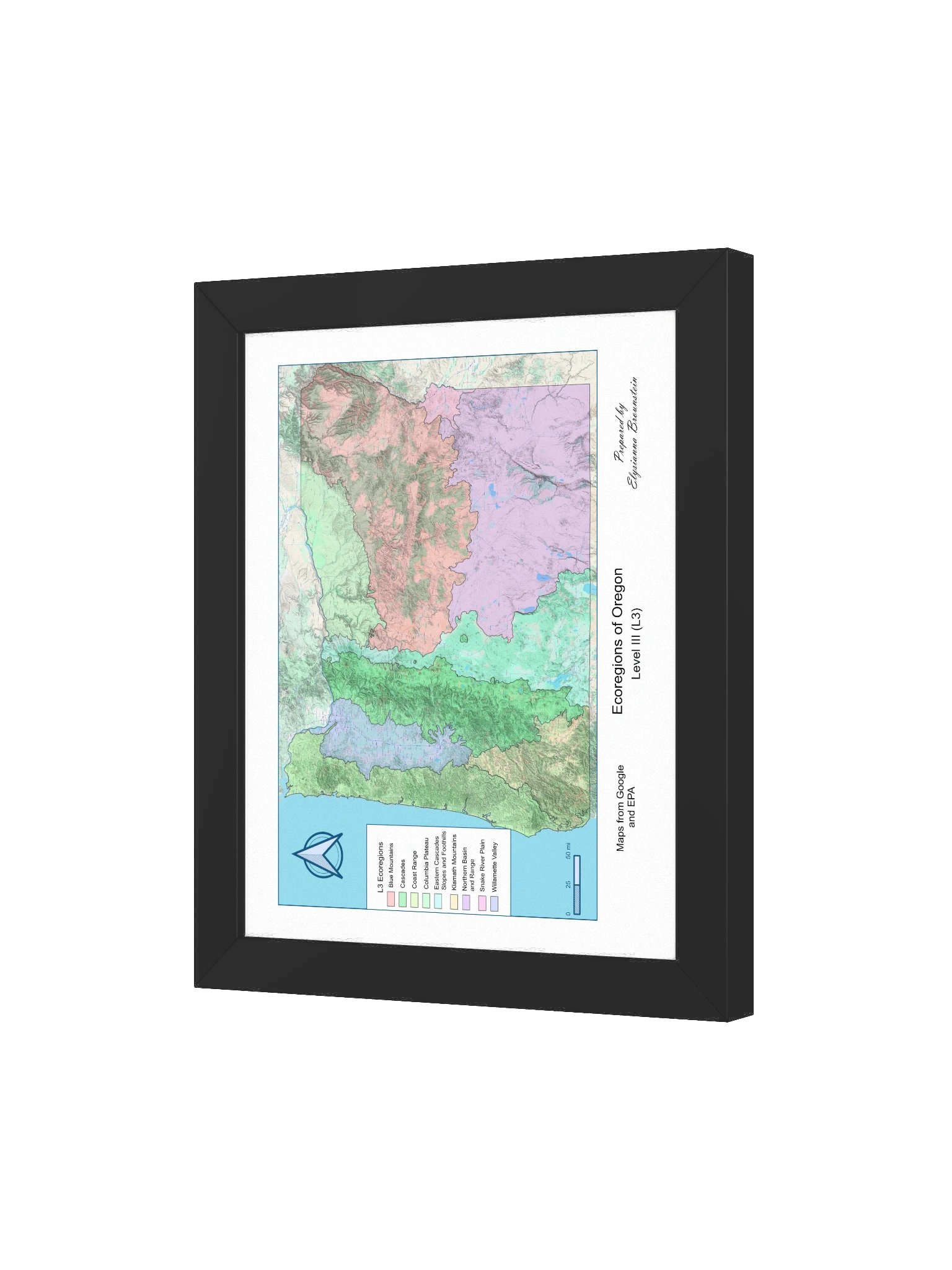 Framed Oregon Ecoregions Map product image (4)