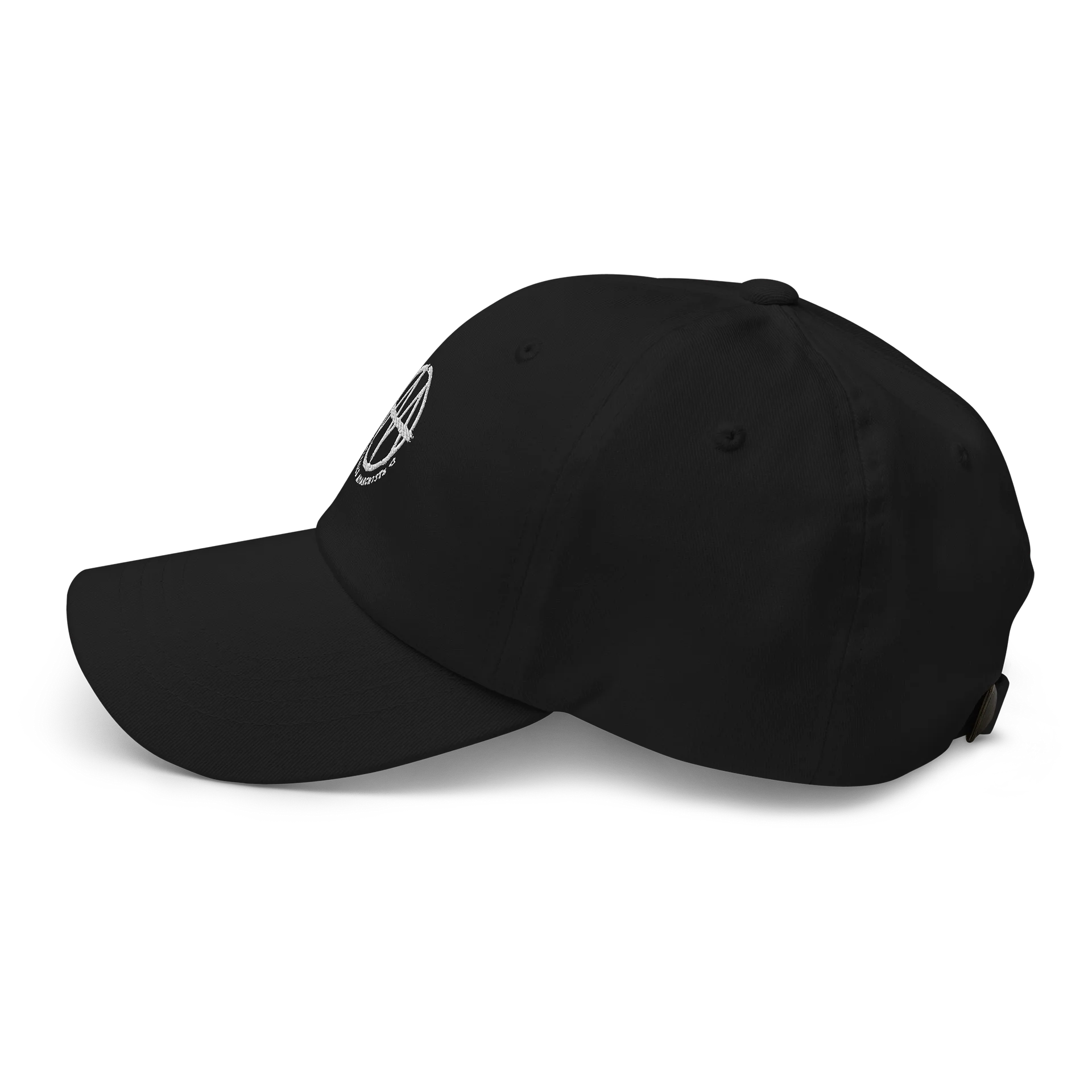 Agreeable Anarchists — Logo Cap product image (4)