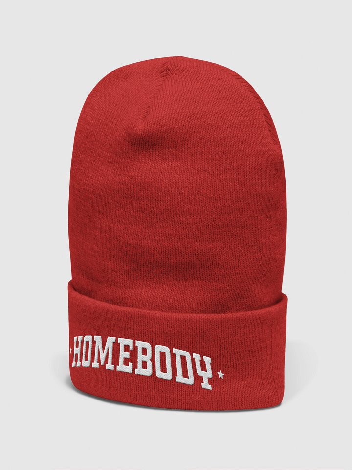 Homebody (Yupoong Cuffed Beanie) product image (32)