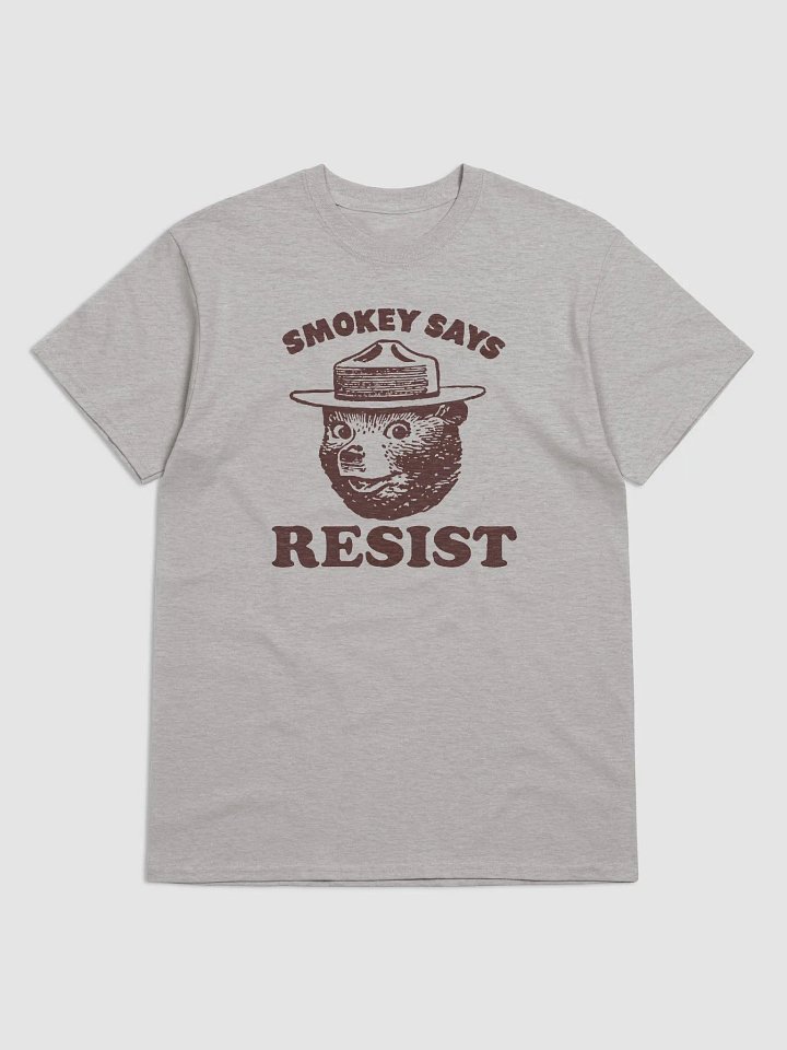 Smokey Says RESIST! Heavyweight Alt National Parks Bear T-Shirt product image (1)