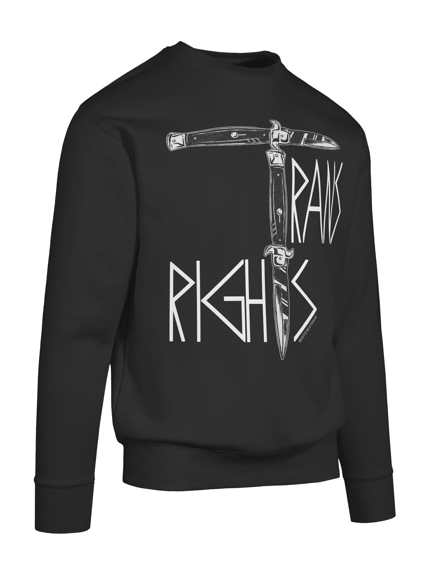 Trans Rights Sweatshirt product image (37)