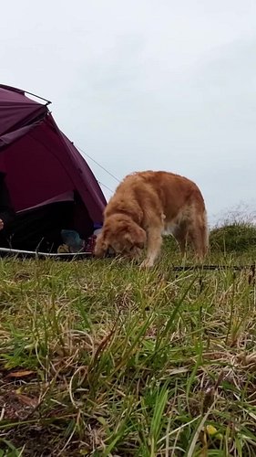 We found the most amazing camping spot in Norway! Part 4/4