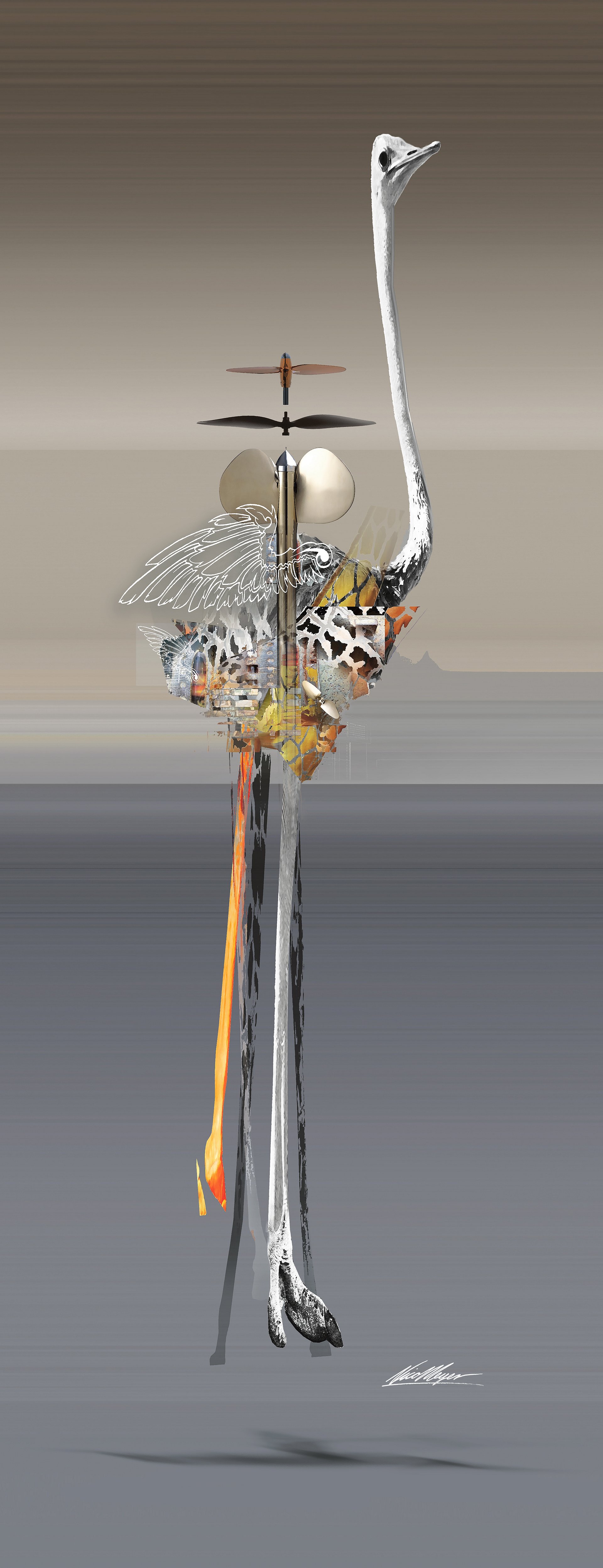 The Courier: Ostrich Fine Art Canvas Print | 305mm x 914mm (12" x 36") product image (2)