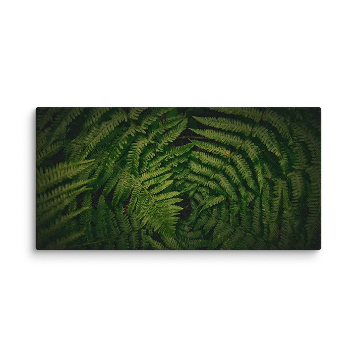 NORTHERN ILLUSIONS - Verdant Silence Canvas Print product image (1)
