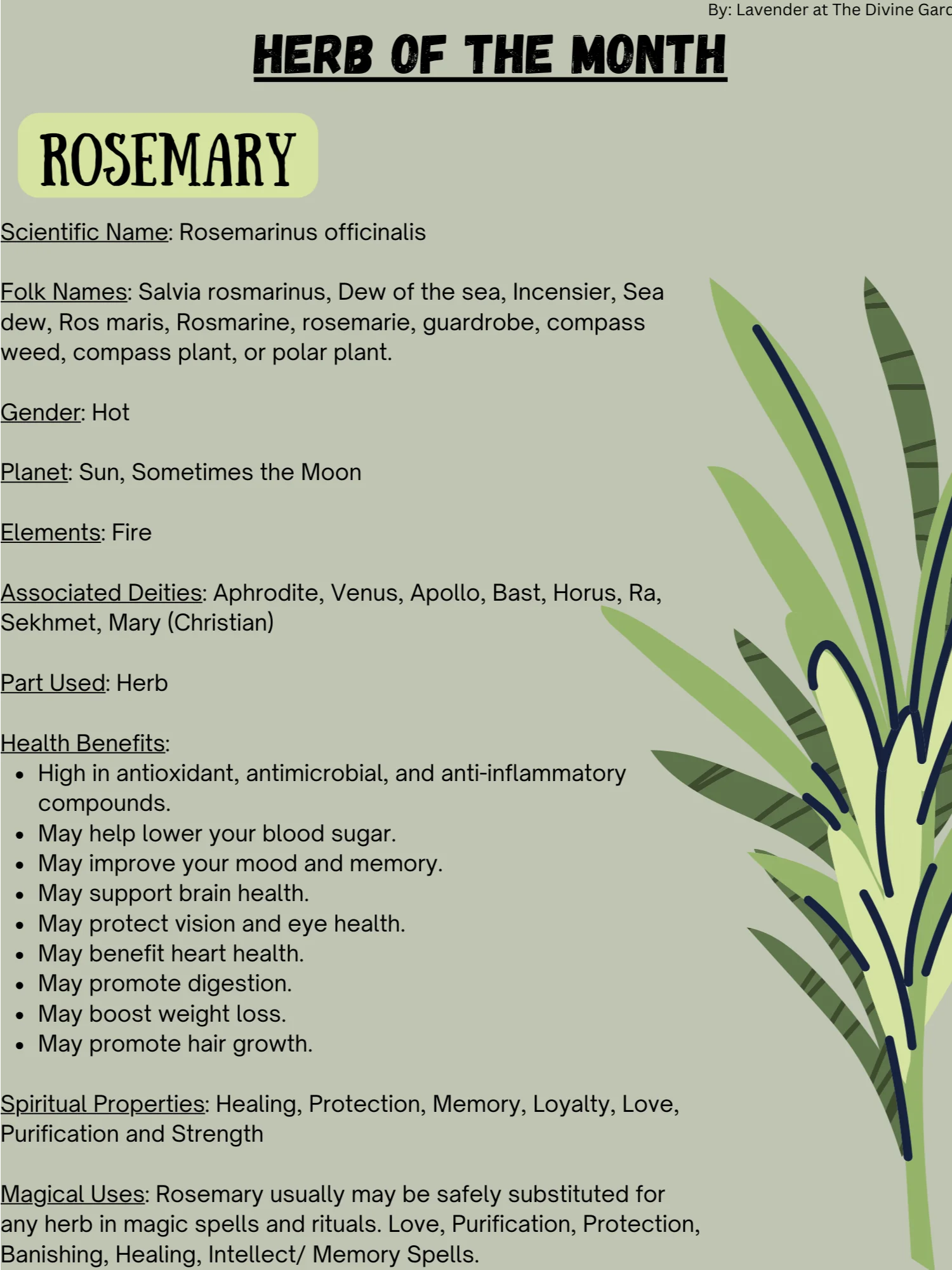 Rosemary product image (1)
