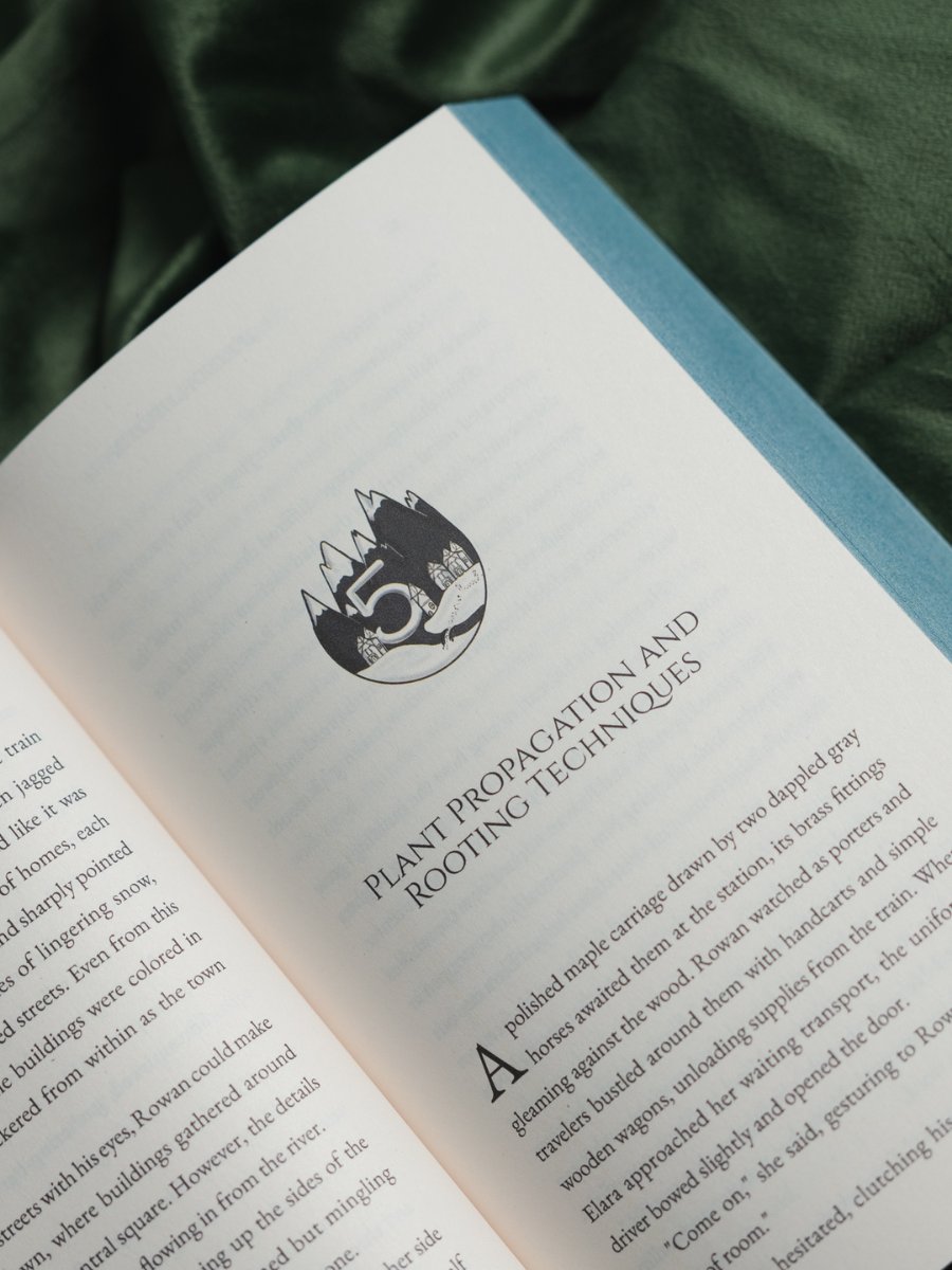 Mosswood Apothecary: Special Edition — Illustrated Collectible (Tales of Valdaes Book 1) product image (4)