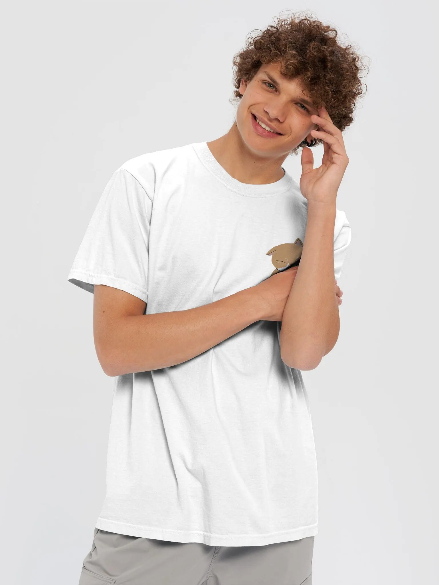Plain White T? product image (5)