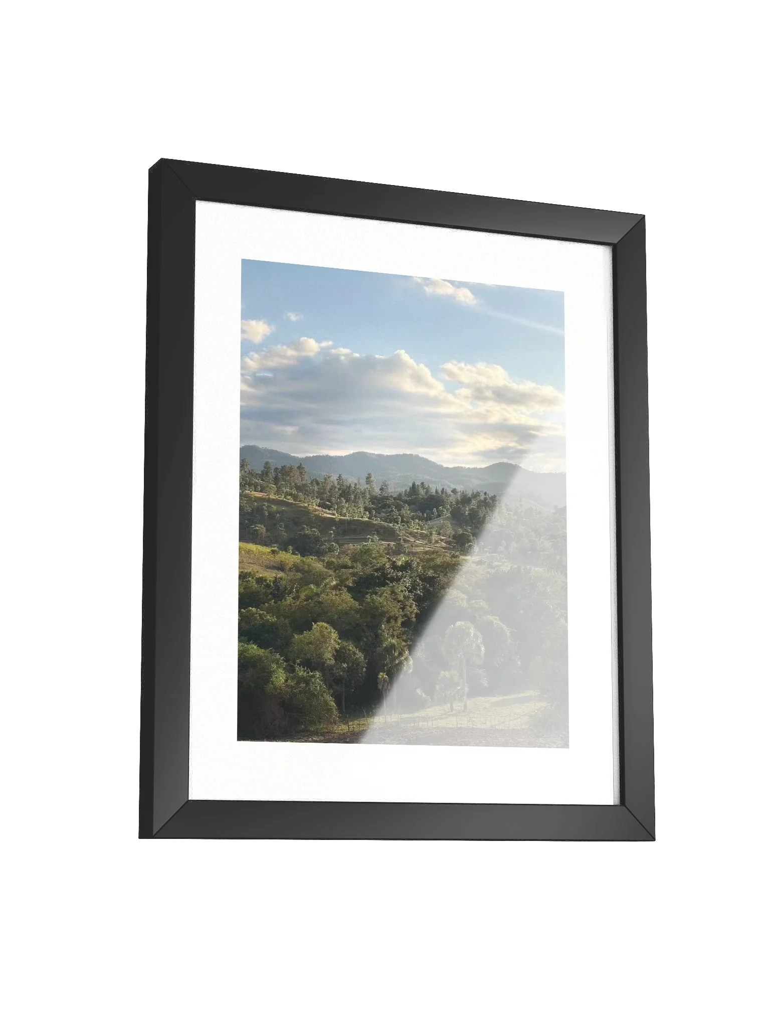 Hills and Palm Tree Framed Art Print product image (9)