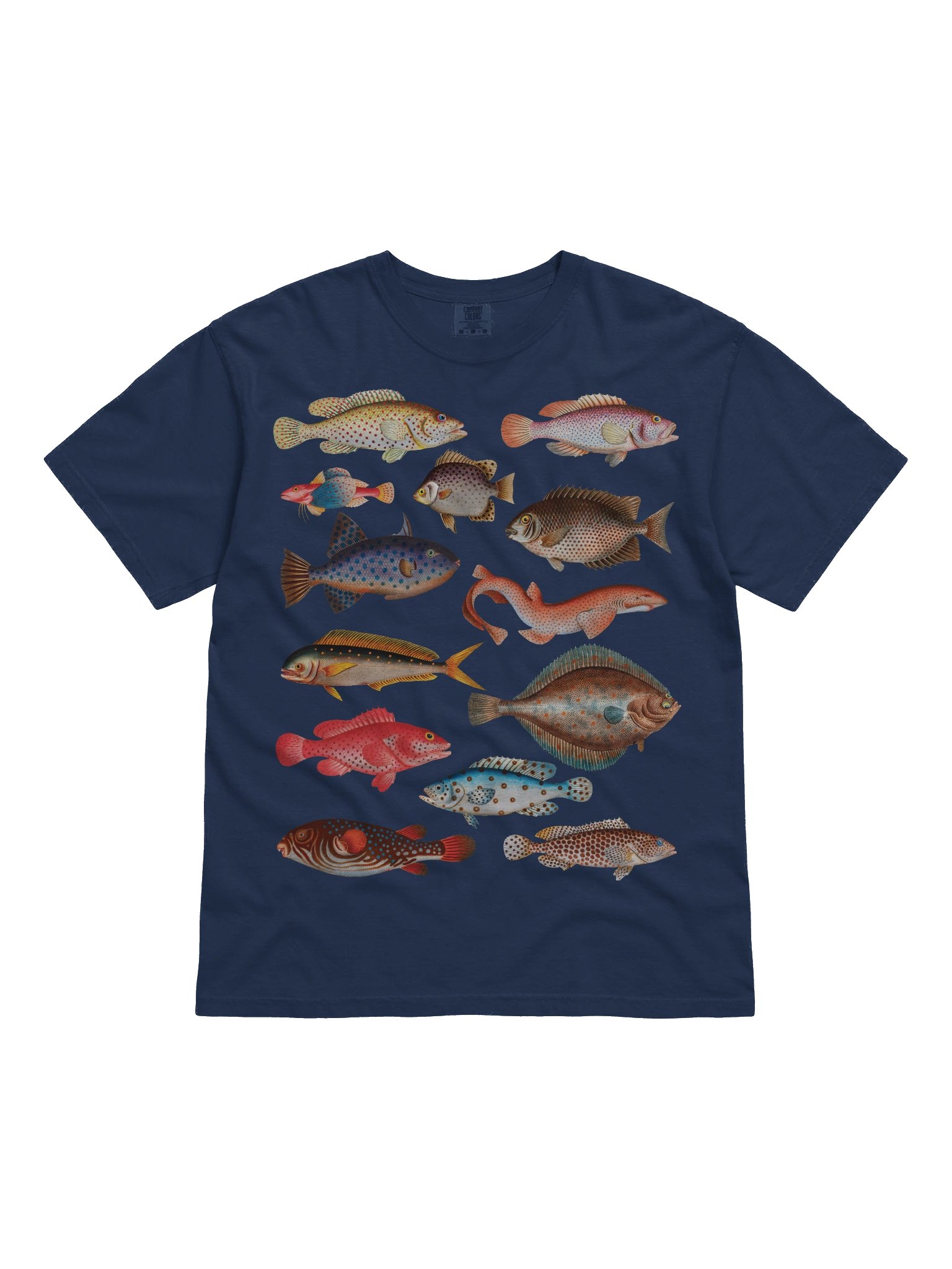 Vintage Fish Illustration Shirt – Ichthyology Graphic Tee, Dark Academia Style product image (11)