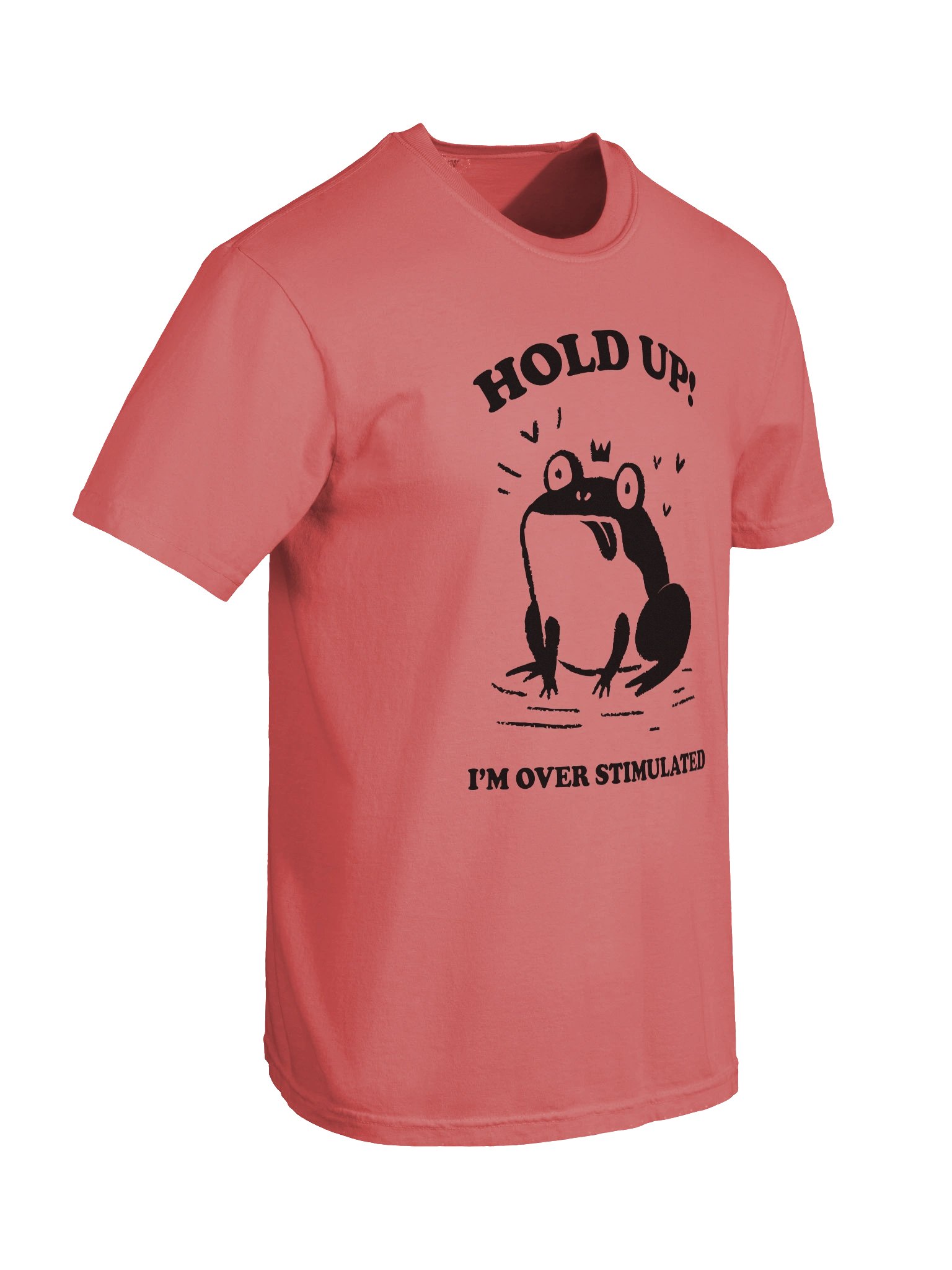 Hold up I'm overstimulated - Shirt product image (63)