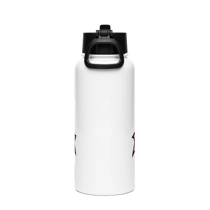 Stainless Steel Water Bottle with a Straw Lid product image (2)