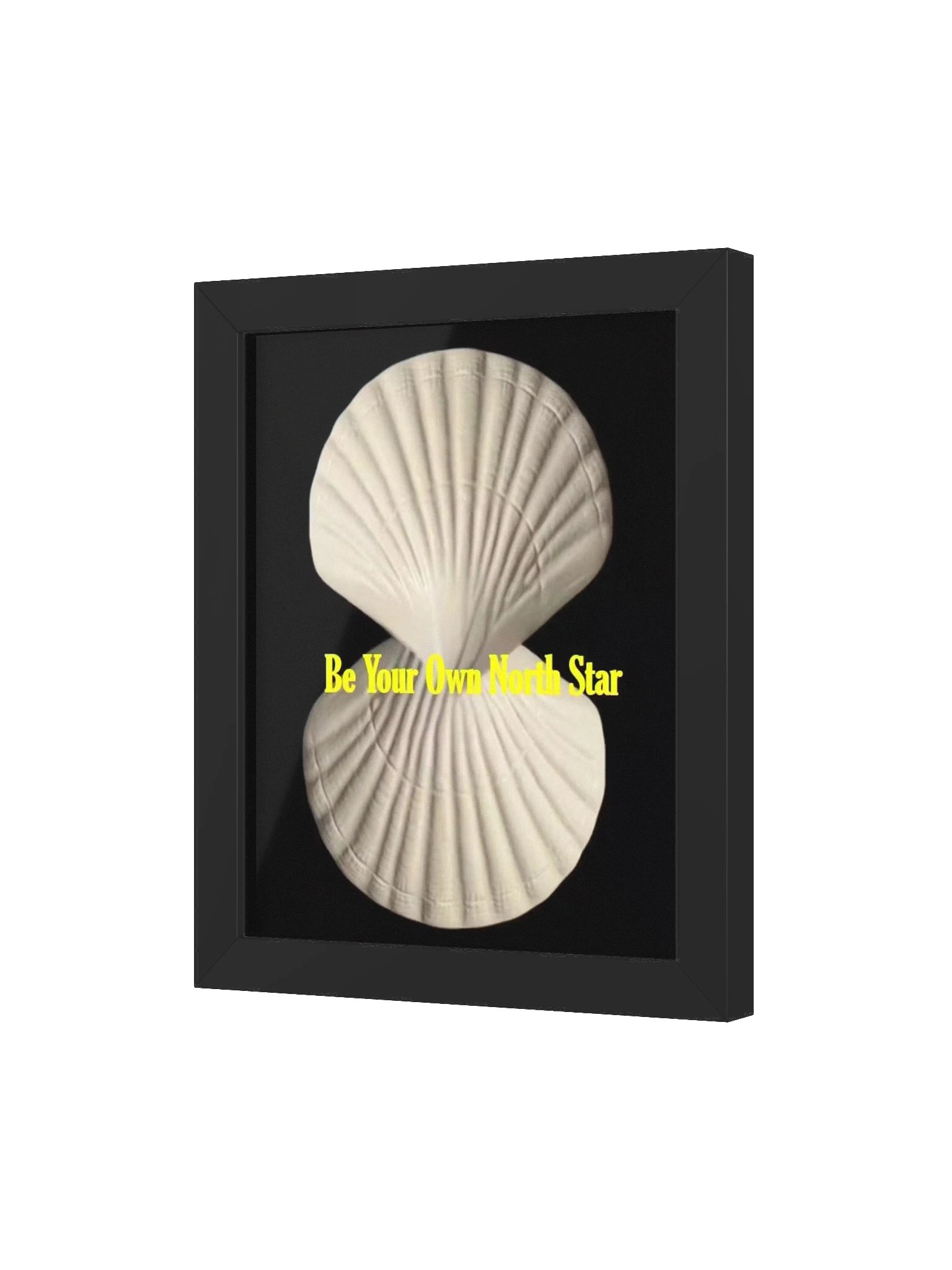 North Star product image (18)