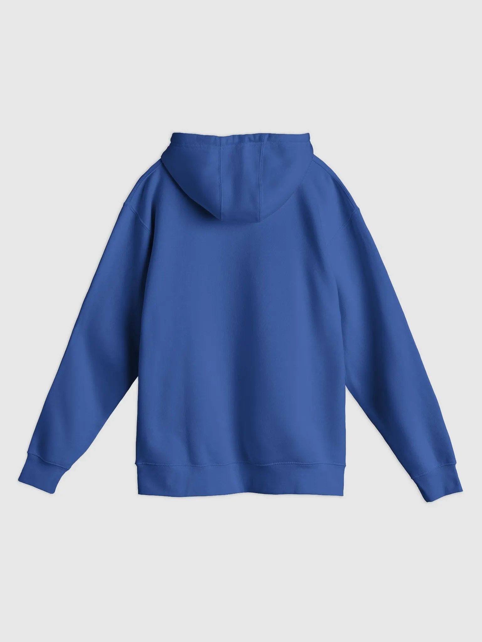 ISE Logo Hoodie product image (4)
