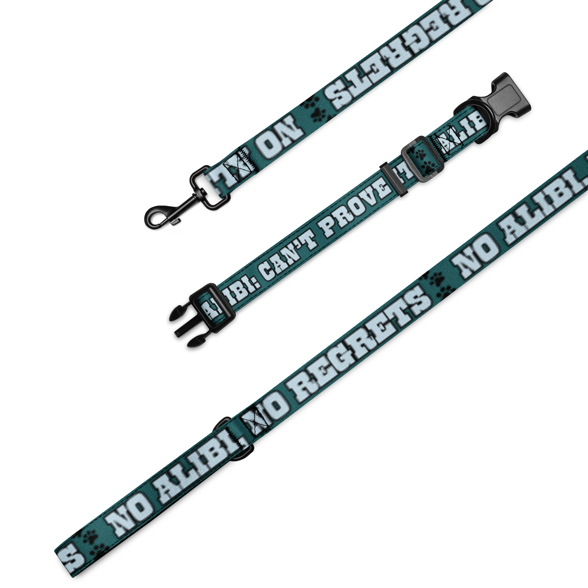 No Alibi No Regrets Dog Collar and Leash Set product image (1)
