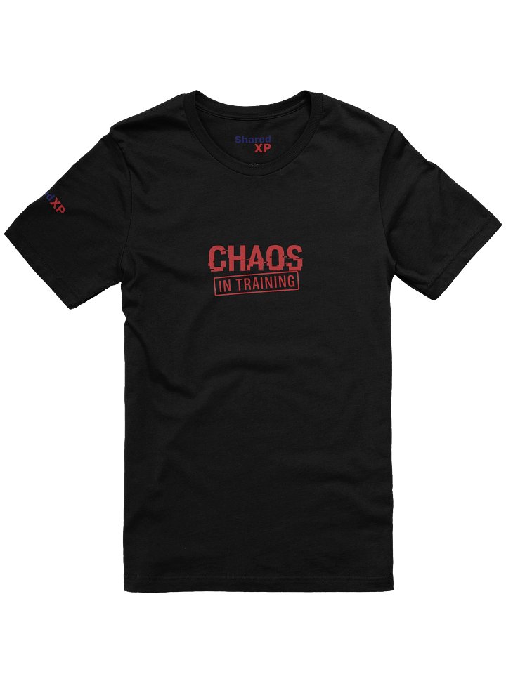 Chaos in Training T-Shirt product image (2)