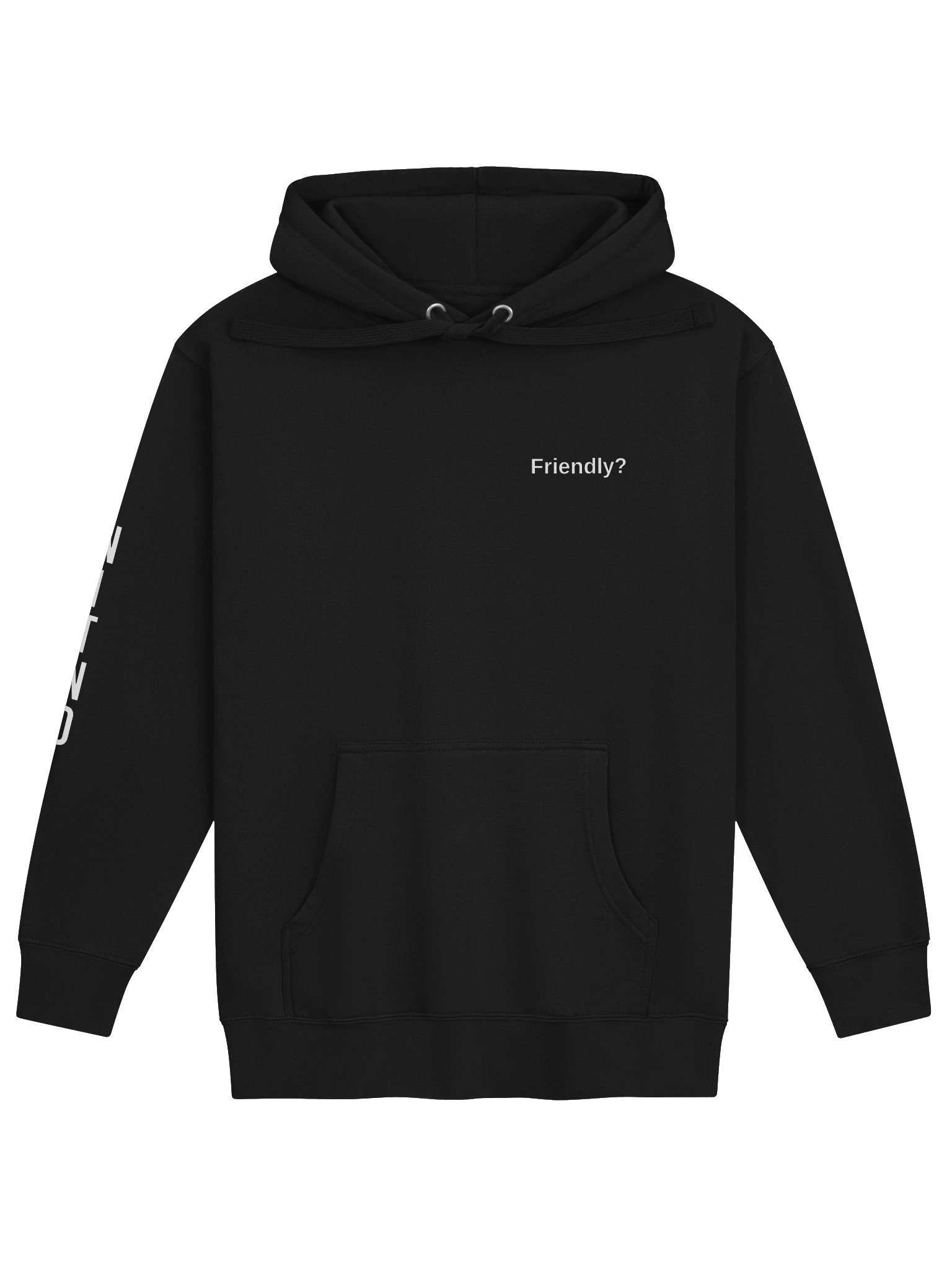 Friendly? Hoodie product image (4)