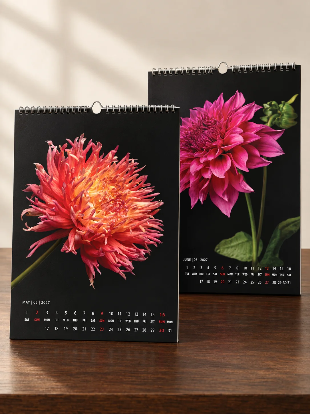 Dahlia Portraits 2027 - Fine Art Wall Calendar product image (3)