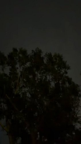 THE HUNTER’S MOON
Featured soundtrack: “Hare in the Woods”
From the Robert Eggers film THE WITCH (2015)
