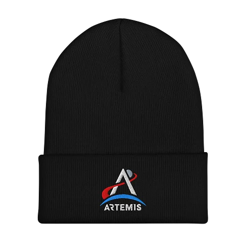 Artemis Logo Beanie Image 1