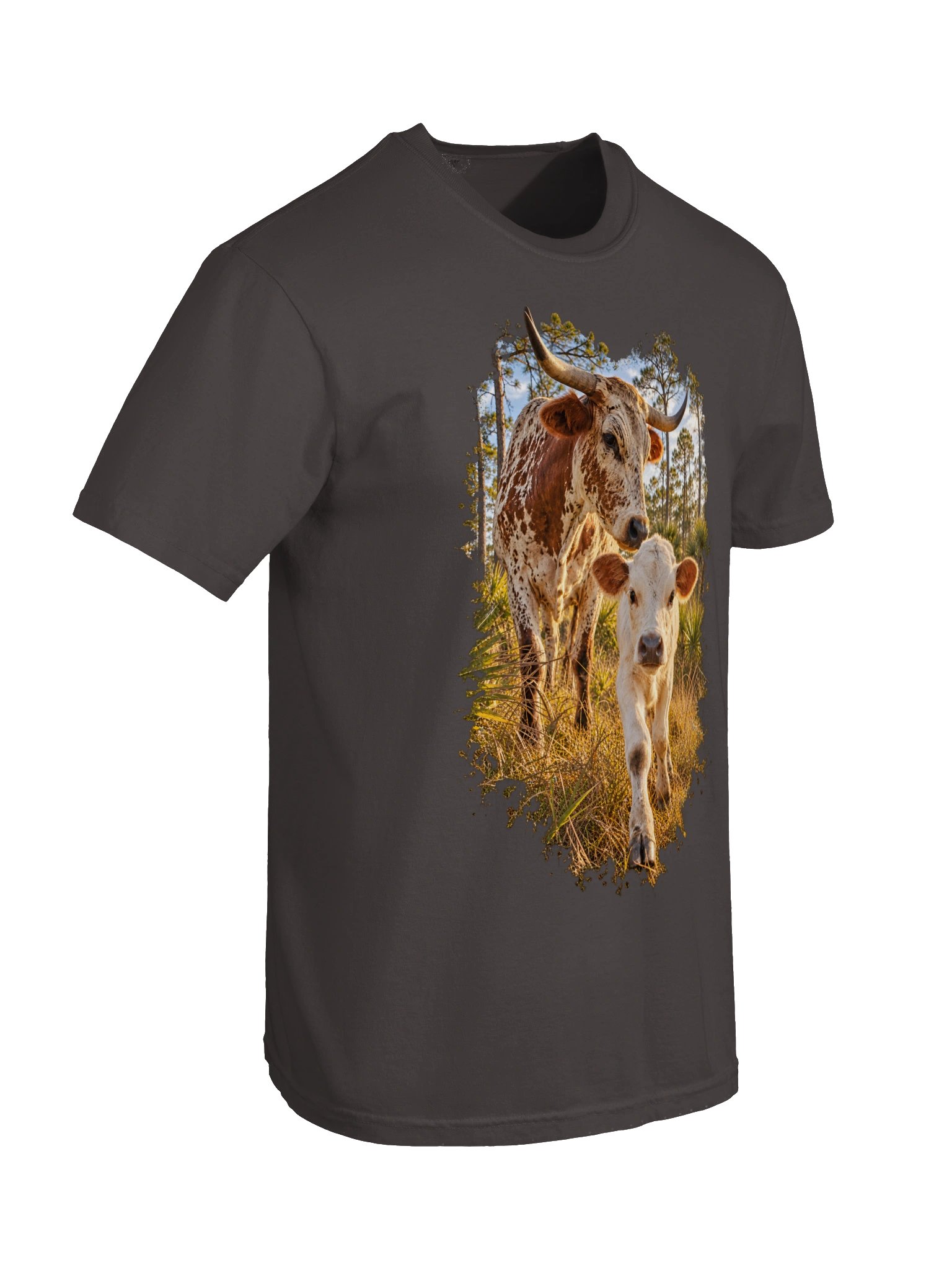 Old Florida Cracker Cattle T-Shirt | Florida Heritage Ranch Tee | BROKEN RODEO™ product image (48)