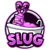 BathroomSlug