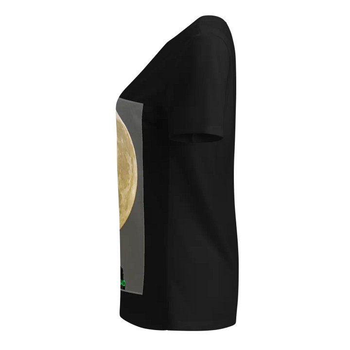 Christ the Redeemer Holding the Moon product image (2)