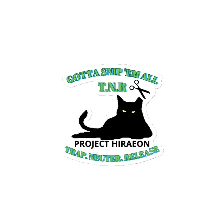 PROJECT HIRAEON TNR MAGNET product image (2)