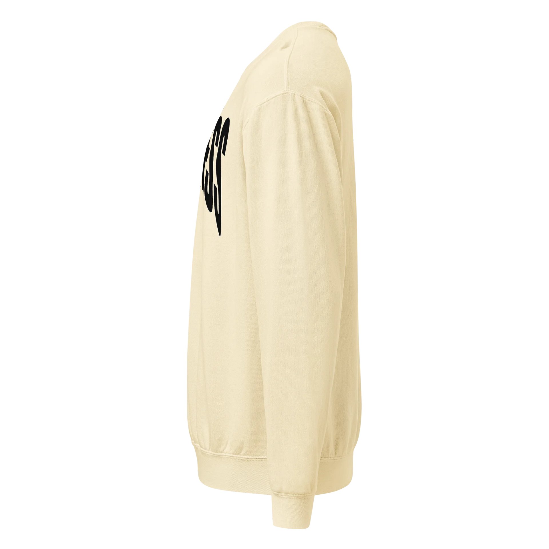 FORTRESS "RUBY" ESSENTIALS CREW SWEATSHIRT product image (7)