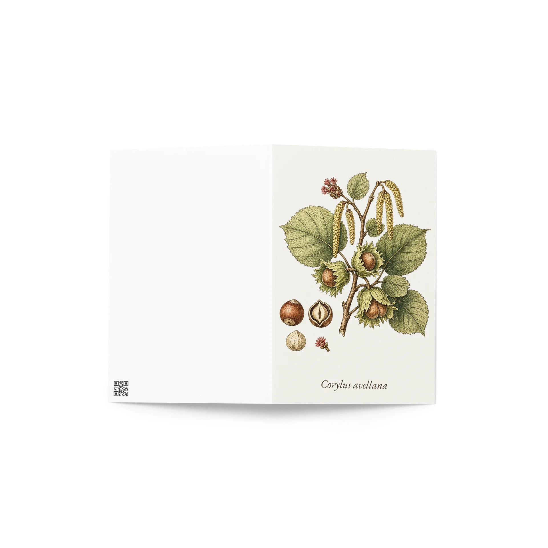 Vintage Botanical Hazelnut Greeting Card product image (4)