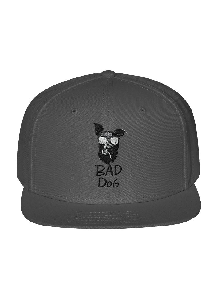 Bad Dog Snapback Cap product image (1)