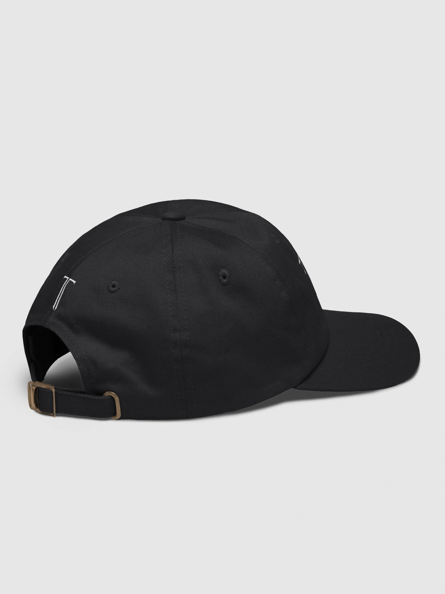 TONT Est. 2026 Dad Cap product image (4)