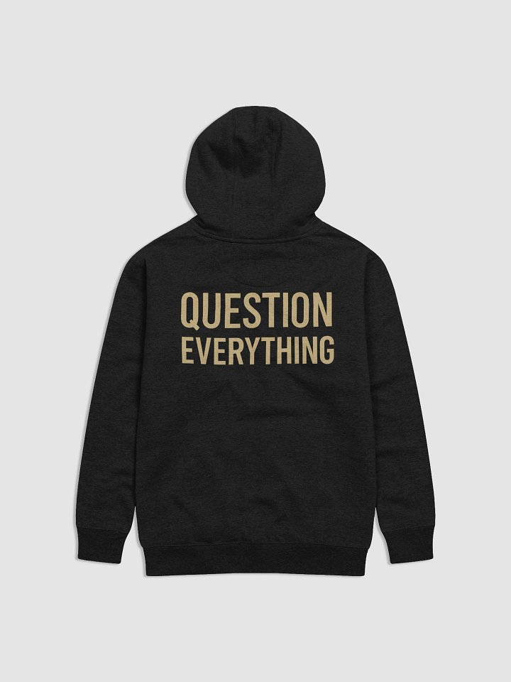 LNT5 Hoodie – QUESTION EVERYTHING product image (8)