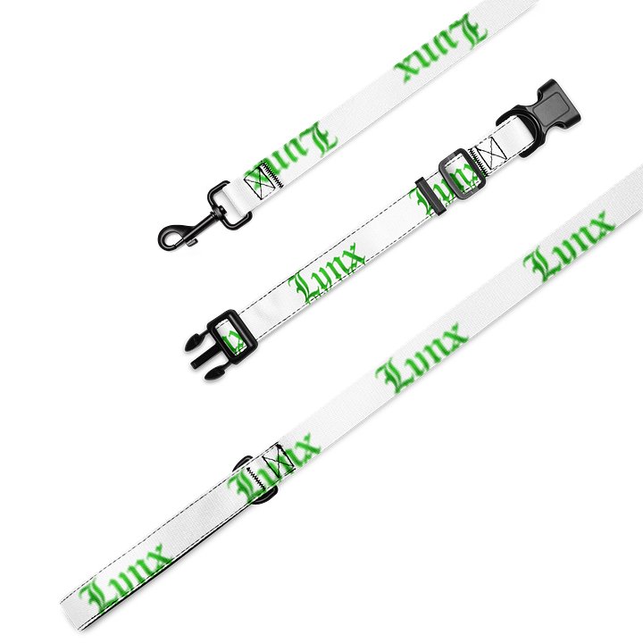 Lynx Collar Leash product image (1)