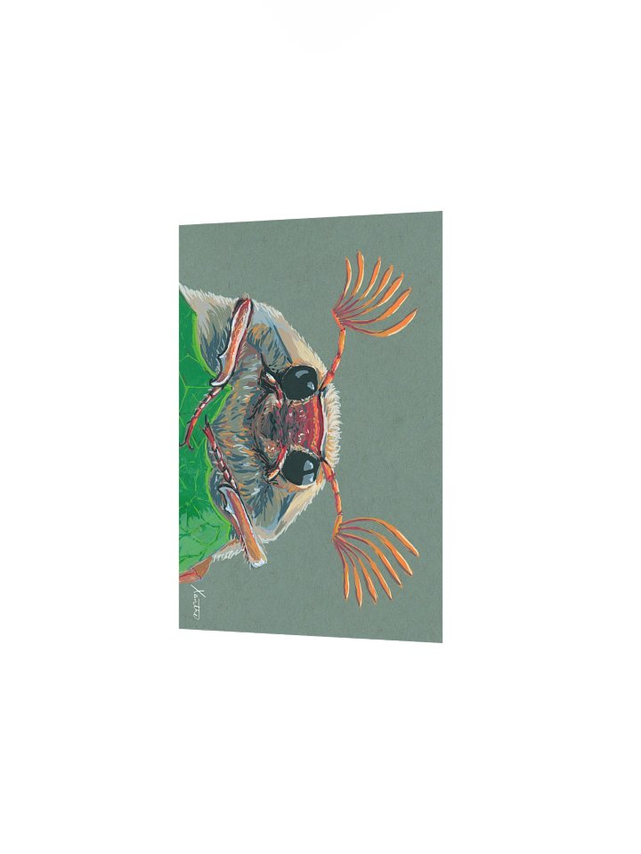 Cockchafer print product image (2)
