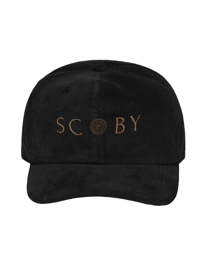 Embroidered Corduroy Hat (multiple colors) product image (1)