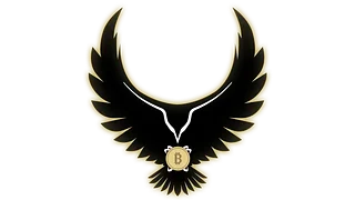 Hawk Crypto & Tech